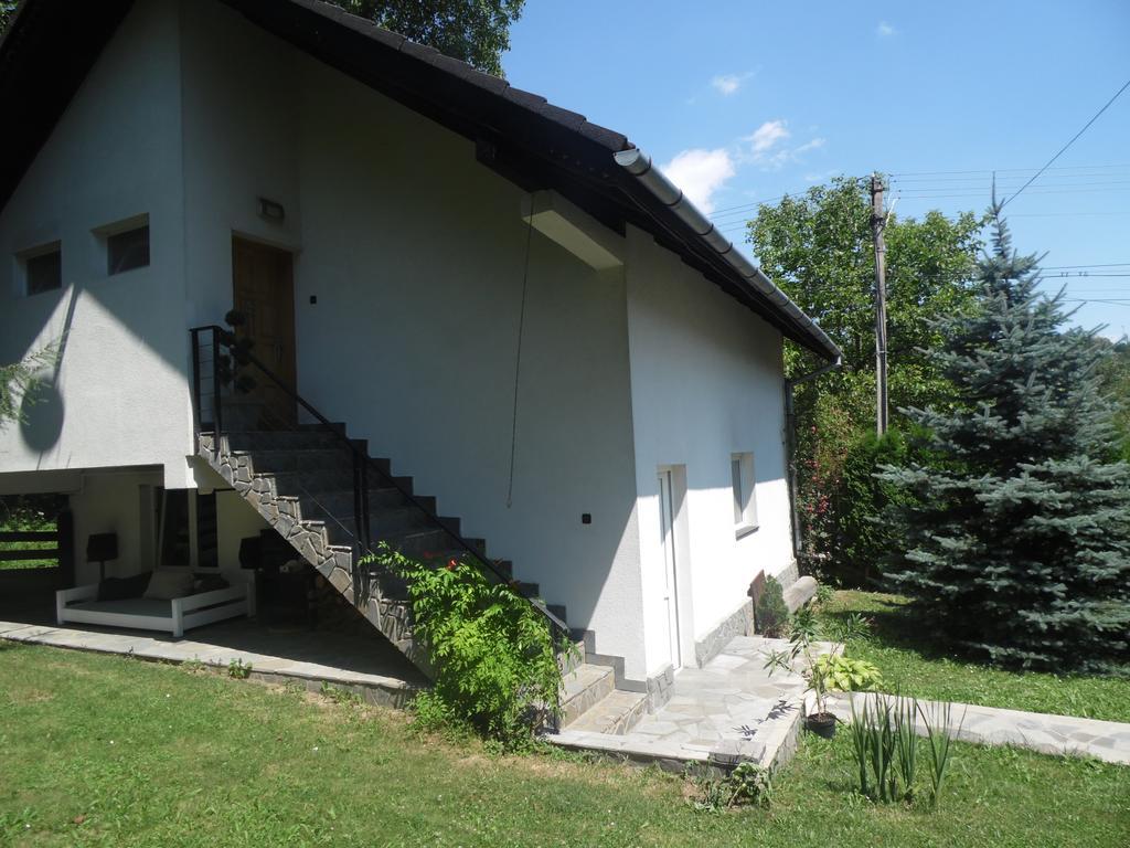 Studio Vanesa Brasov