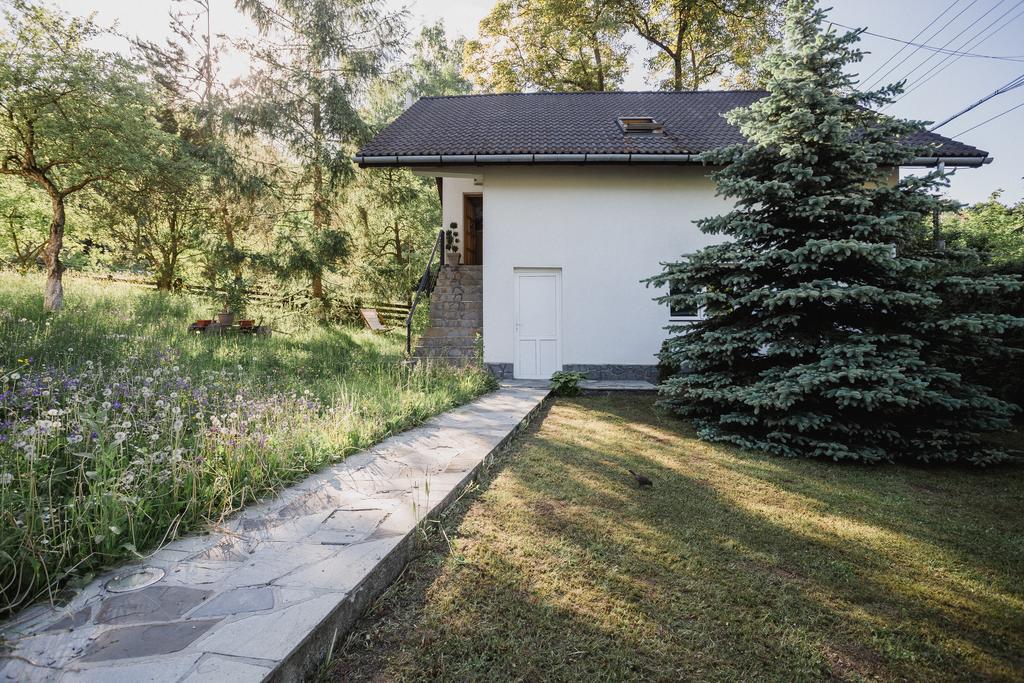 Studio Vanesa * Brasov