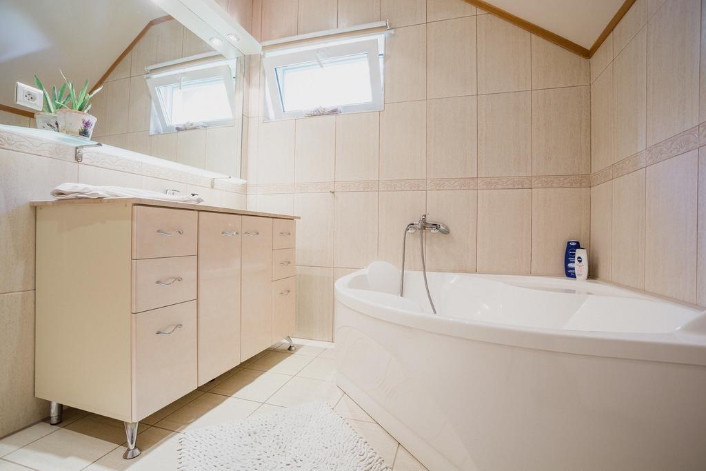 Apartment Studio Vanesa Brasov